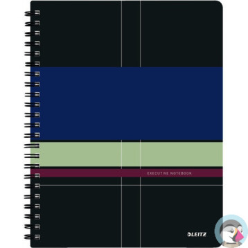 Kołonotatnik Get Organized EXECUTIVE A4 PP linia 44660000 LEITZ