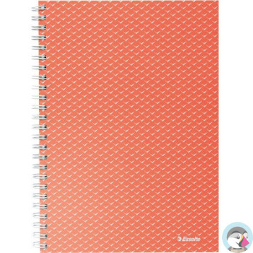 Kołonotatnik Colour`Breeze A5 w kratkę koralowy 628468 ESSELTE