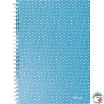 Kołonotatnik Colour`Breeze A5 w kratkę niebieski 628466 ESSELTE