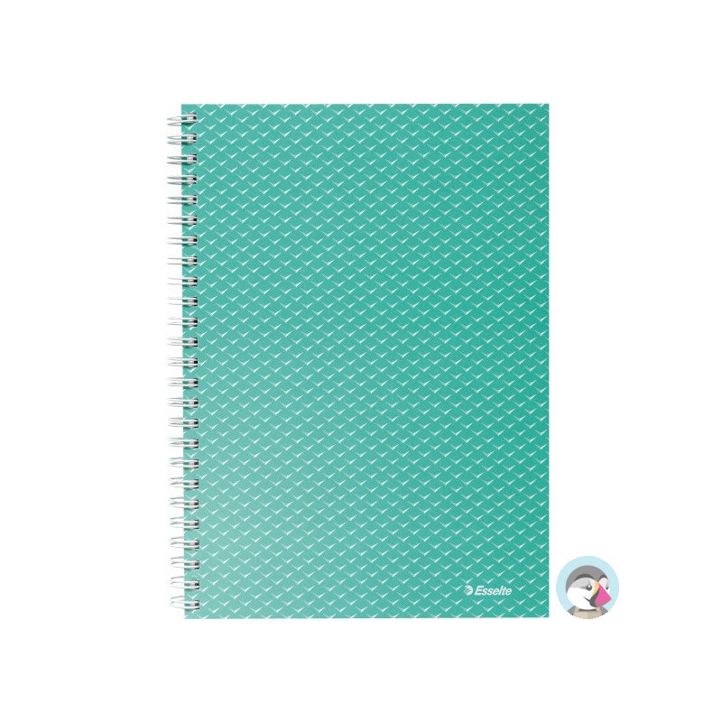 Kołonotatnik Colour`Breeze A5 w kratkę zielony 628467 ESSELTE