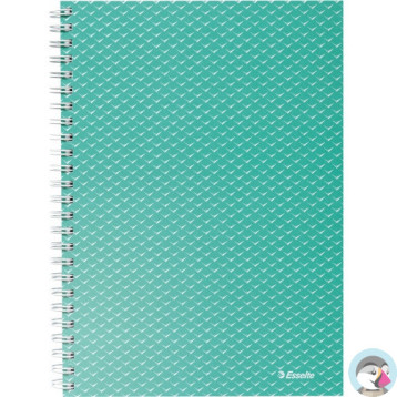 Kołonotatnik Colour`Breeze A5 w kratkę zielony 628467 ESSELTE