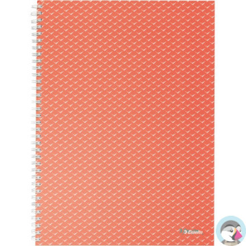 Kołonotatnik Colour`Breeze A4 w kratkę koralowy 628478 ESSELTE
