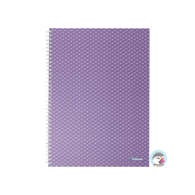 Kołonotatnik Colour`Breeze A4 w kratkę lawendowy 628479 ESSELTE