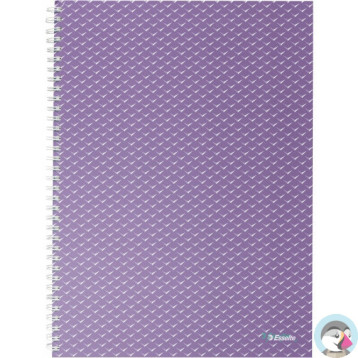 Kołonotatnik Colour`Breeze A4 w kratkę lawendowy 628479 ESSELTE