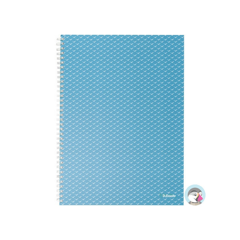 Kołonotatnik Colour`Breeze A4 w kratkę niebieski 628476 ESSELTE