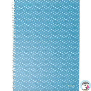 Kołonotatnik Colour`Breeze A4 w kratkę niebieski 628476 ESSELTE