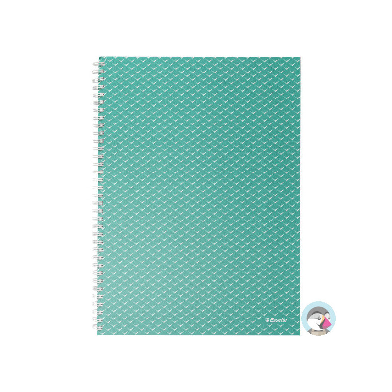 Kołonotatnik Colour`Breeze A4 w kratkę zielony 628477 ESSELTE