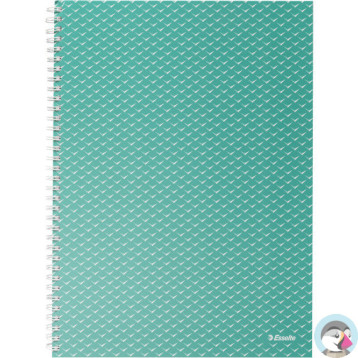 Kołonotatnik Colour`Breeze A4 w kratkę zielony 628477 ESSELTE