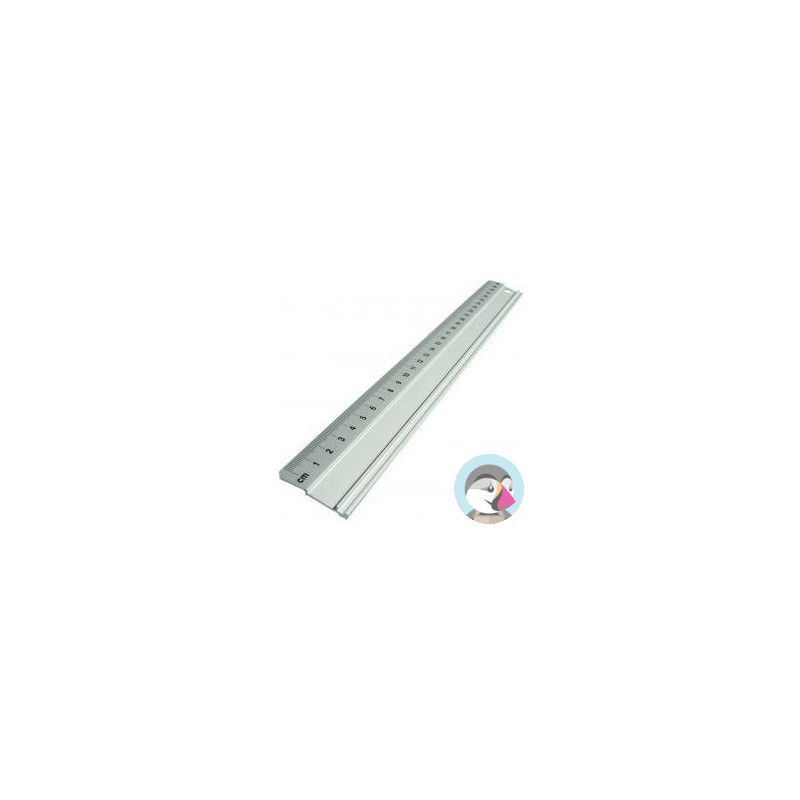 Linijka 100cm aluminiowa 30365 LENIAR